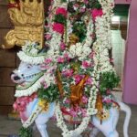 கமுதி அருள்மிகு ஸ்ரீ மீனாட்சி சுந்தரேஸ்வரர் திருக்கோவிலில் பிரதோஷ விழா