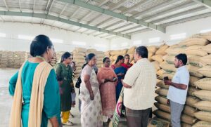 தாராபுரத்தில் 123 டன் நெல் விதைகள் விற்பனைக்கு தடை- விதை ஆய்வு துணை இயக்குநர் நடவடிக்கை