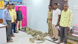 மன்னார்குடி அருகே நள்ளிரவில் பள்ளம் தோண்டிய போது அடுத்தடுத்து 9 சிலைகள்