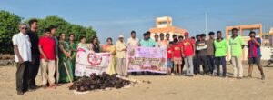 பாண்டி மெரினா பீச் பகுதியில் சுமார் 1000 பனை விதை நடும் பணி