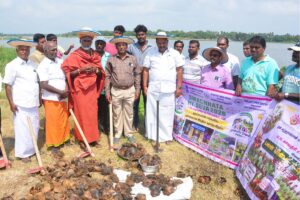 அரியாங்குப்பம் கொம்யூன் சார்பில் 1000 பனை விதை நடும் பணி